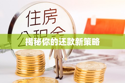 赛罕揭秘你的还款新策略