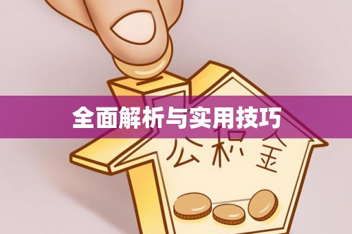 赛罕全面解析与实用技巧
