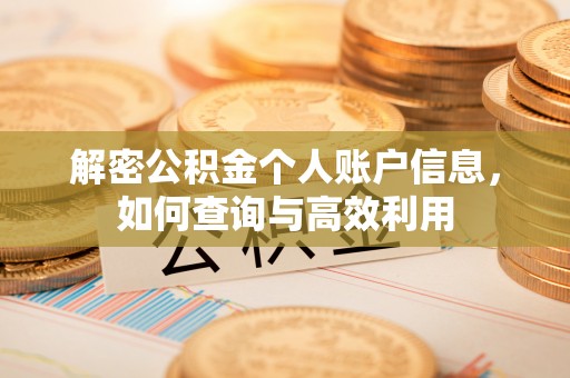 赛罕解密公积金个人账户信息，如何查询与高效利用