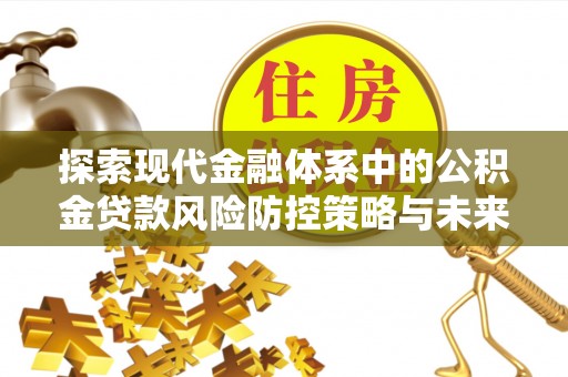 赛罕探索现代金融体系中的公积金贷款风险防控策略与未来发展趋势
