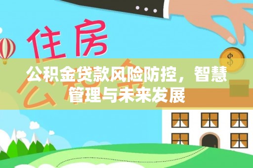 赛罕公积金贷款风险防控，智慧管理与未来发展