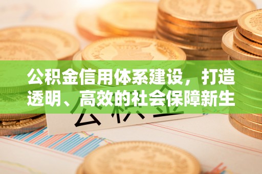 赛罕公积金信用体系建设，打造透明、高效的社会保障新生态
