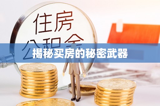 赛罕揭秘买房的秘密武器