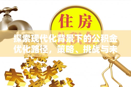 赛罕探索现代化背景下的公积金优化路径，策略、挑战与未来展望