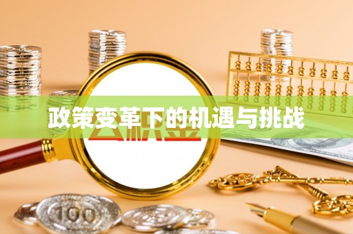 赛罕政策变革下的机遇与挑战