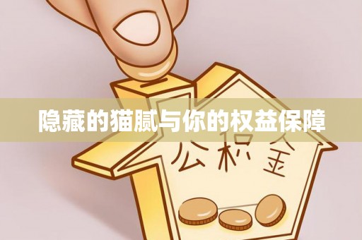 赛罕隐藏的猫腻与你的权益保障
