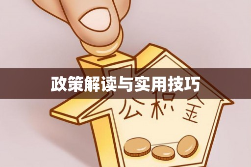 赛罕政策解读与实用技巧