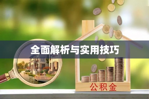 赛罕全面解析与实用技巧