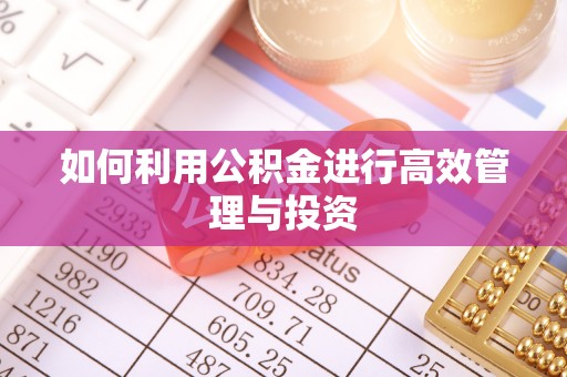 赛罕如何利用公积金进行高效管理与投资